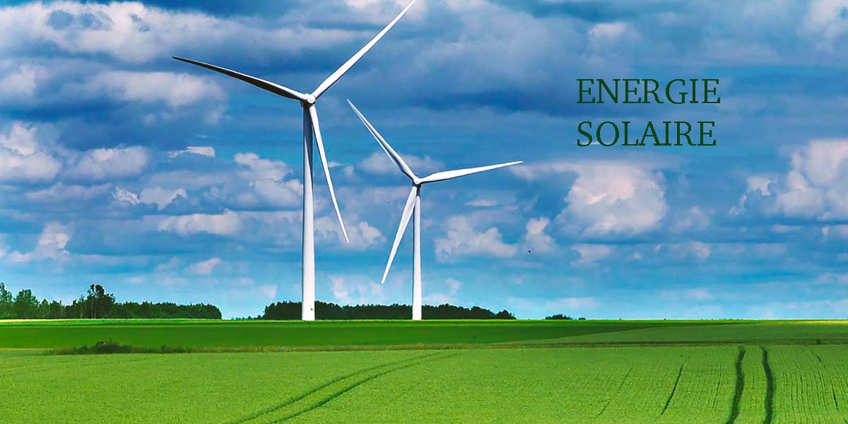 Description de l'image 3