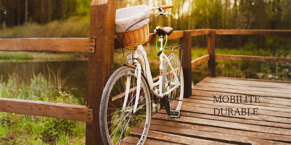 Description de l'image 2