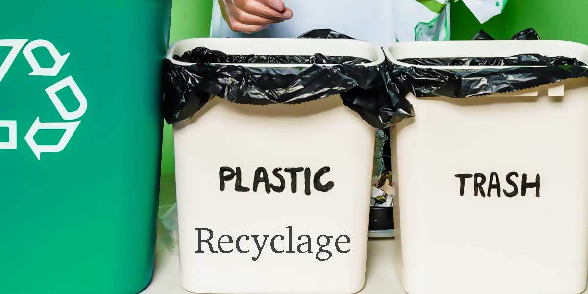 Description de l'image 4